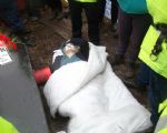 Coffin Blocks IGas Lorries